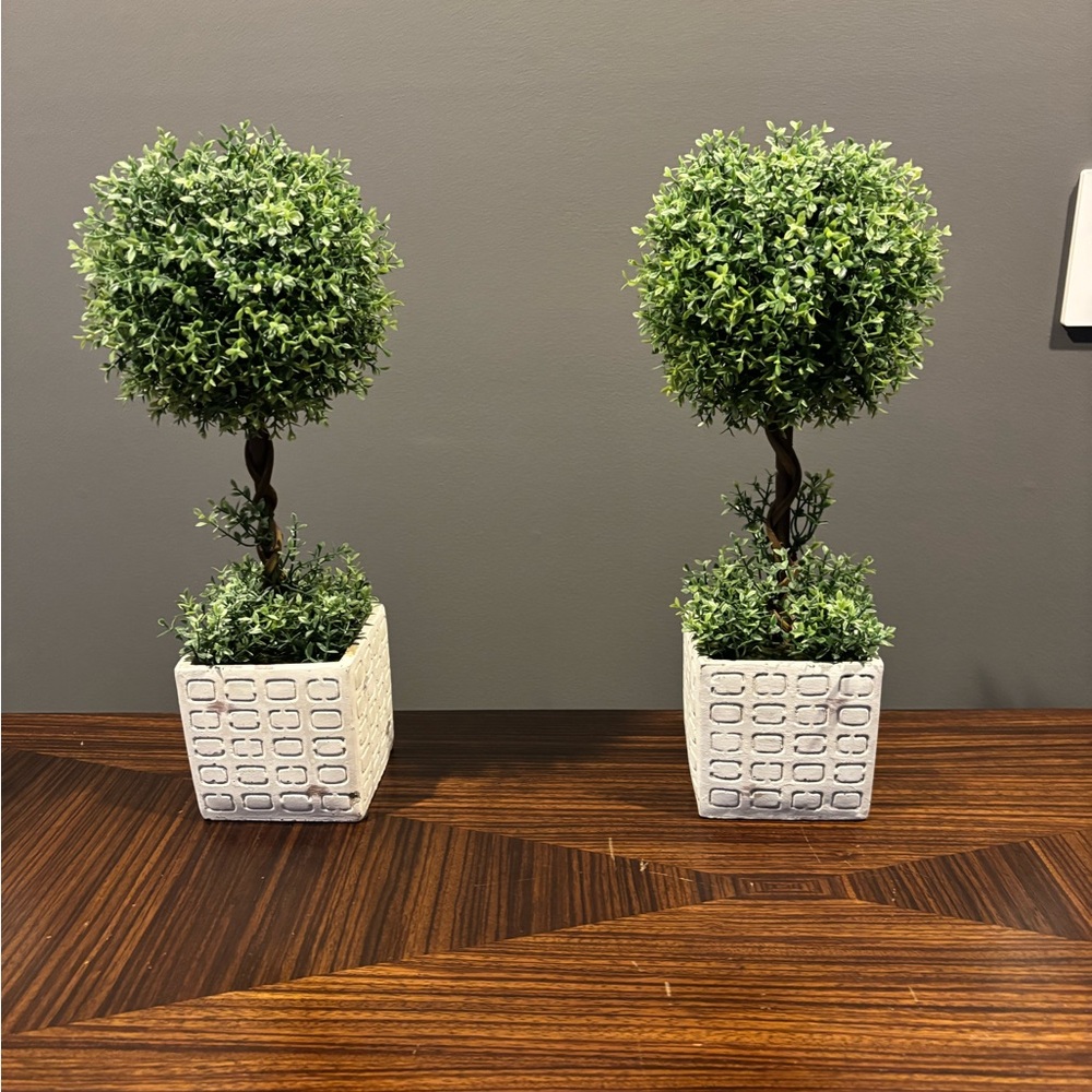 Set of 2 Artificial Topiaries in Rustic Planter